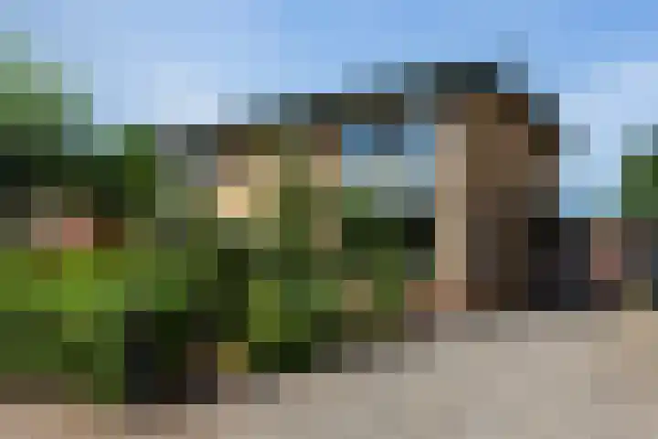 Kostersland 42 Ermelo thumbnail 35