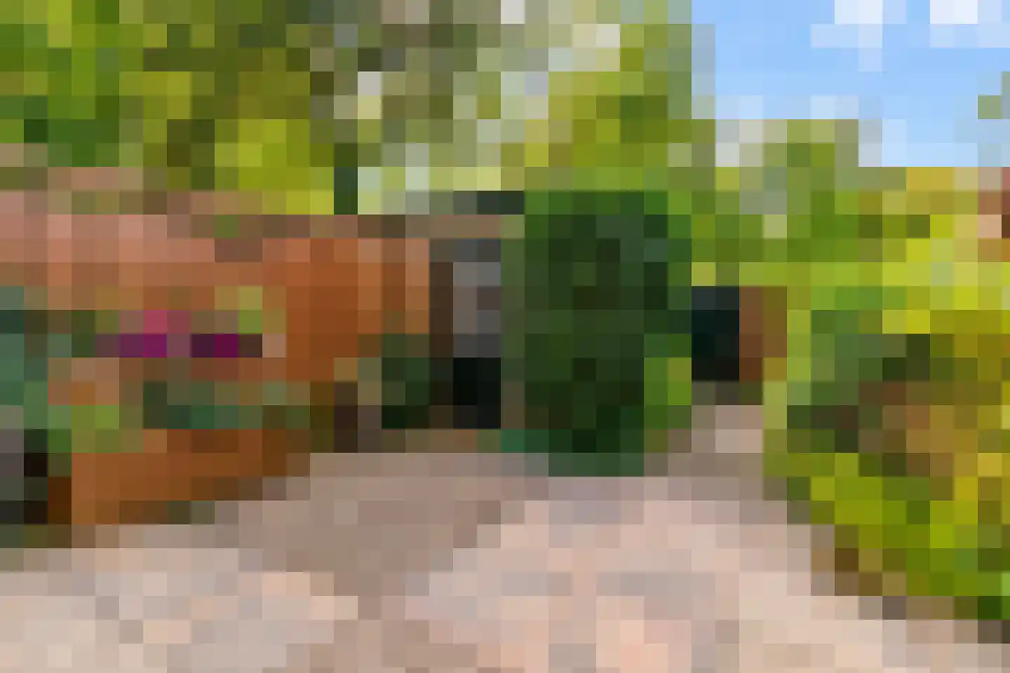 Kosterspad 16 Zoeterwoude thumbnail 33