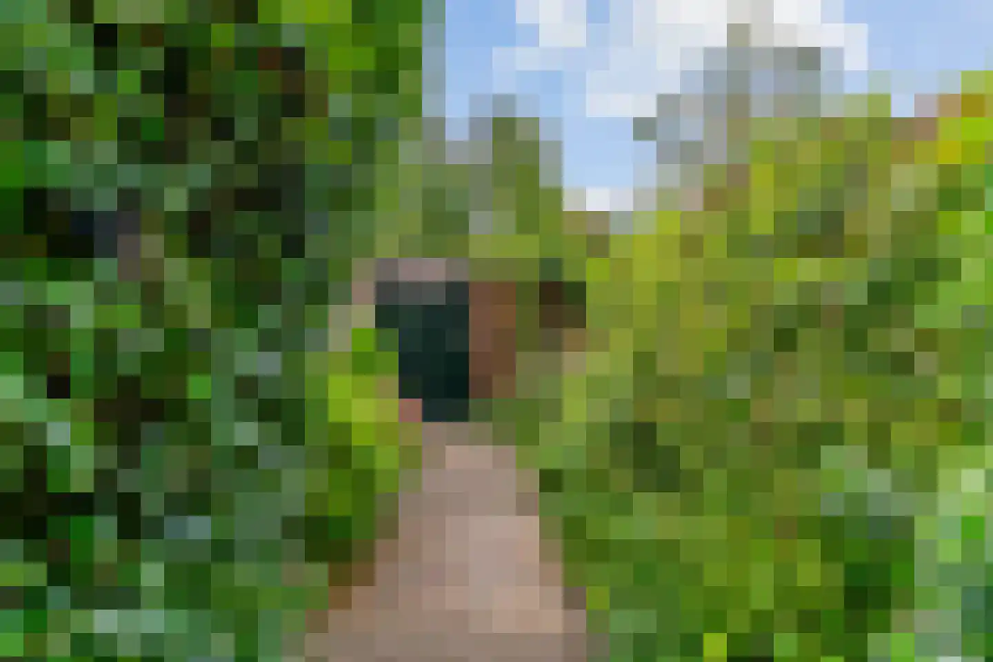 Kosterspad 16 Zoeterwoude thumbnail 35