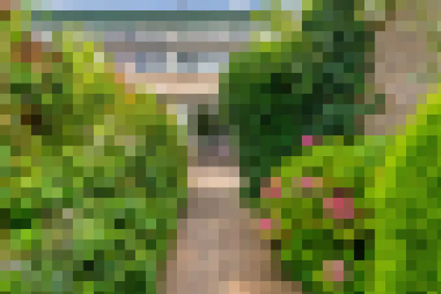 Kosterspad 16 Zoeterwoude thumbnail 36