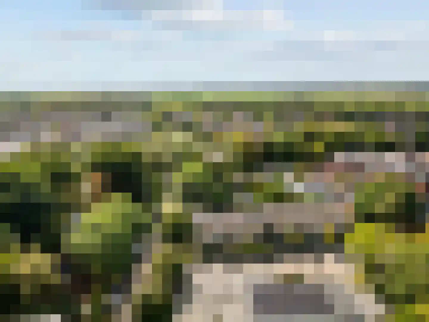 Kosterspad 16 Zoeterwoude thumbnail 38