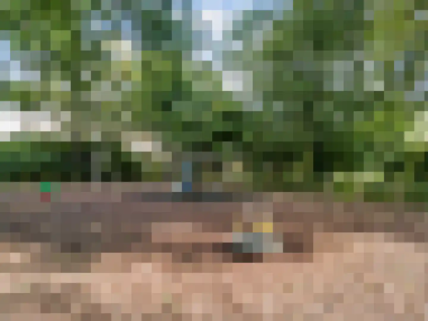 Kosterspad 16 Zoeterwoude thumbnail 39