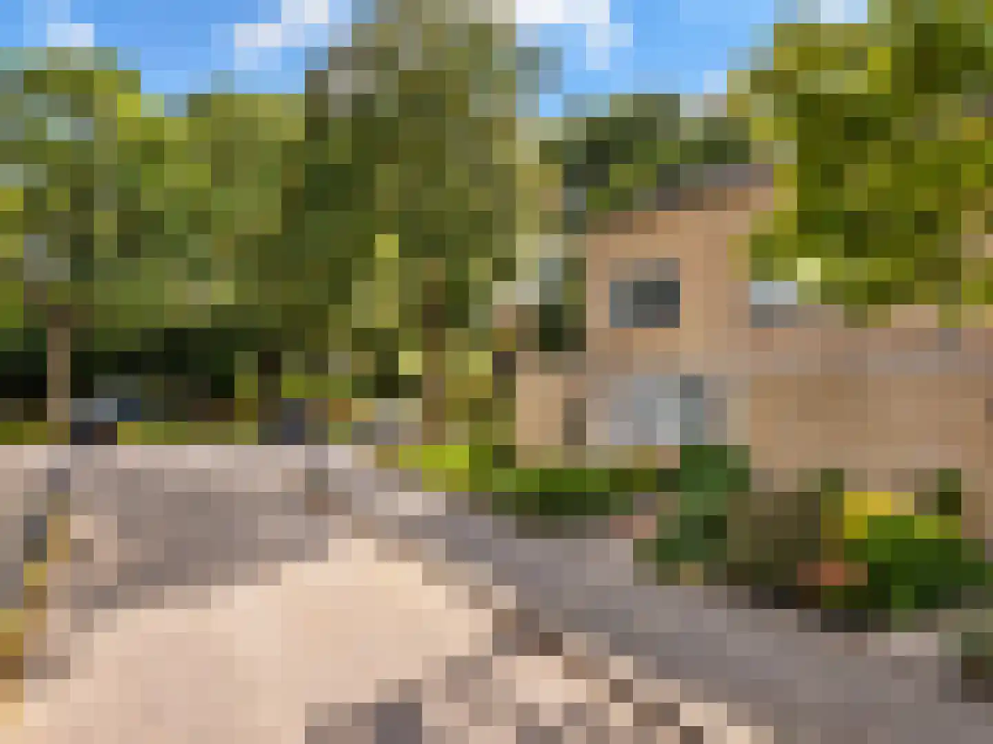 Kosterspad 16 Zoeterwoude thumbnail 40
