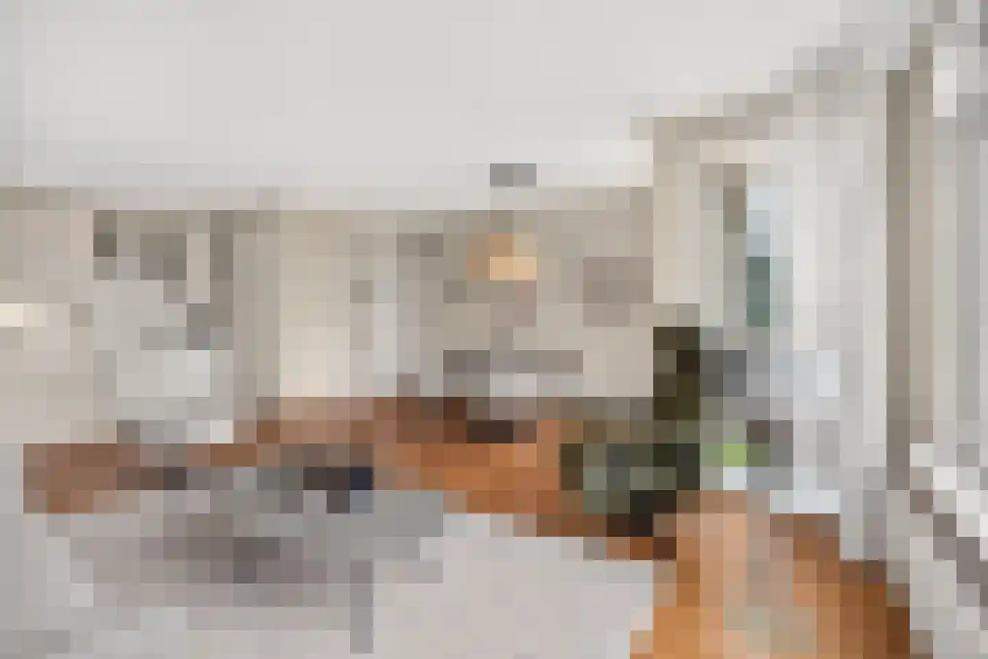 Kostersstraat 26 Didam thumbnail 6