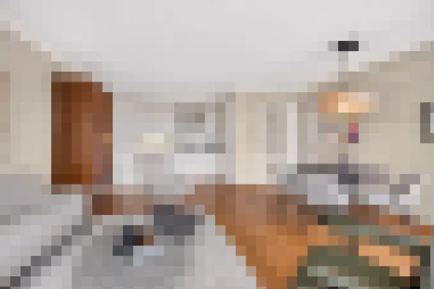 Kostersstraat 26 Didam thumbnail 9