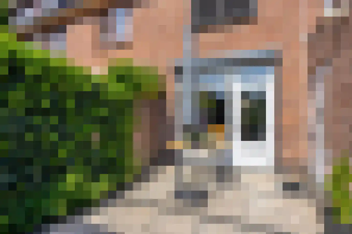 Kosterstraat 24 Deventer thumbnail 37