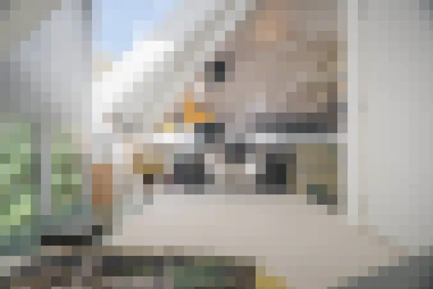 Kosterstraat 33 a Doesburg thumbnail 26