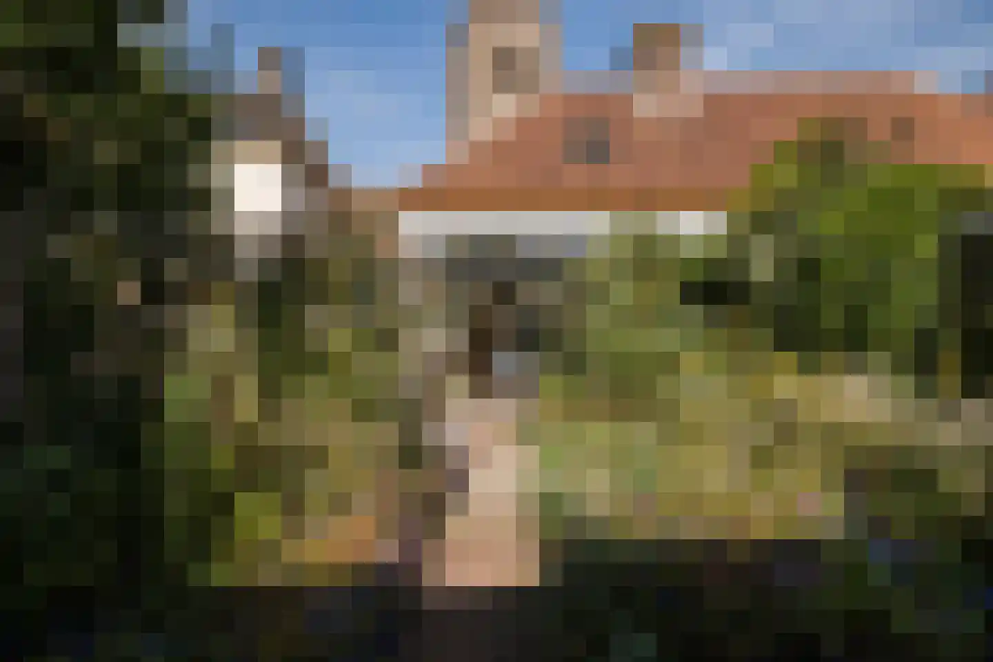 Kosterstraat 33 a Doesburg thumbnail 45