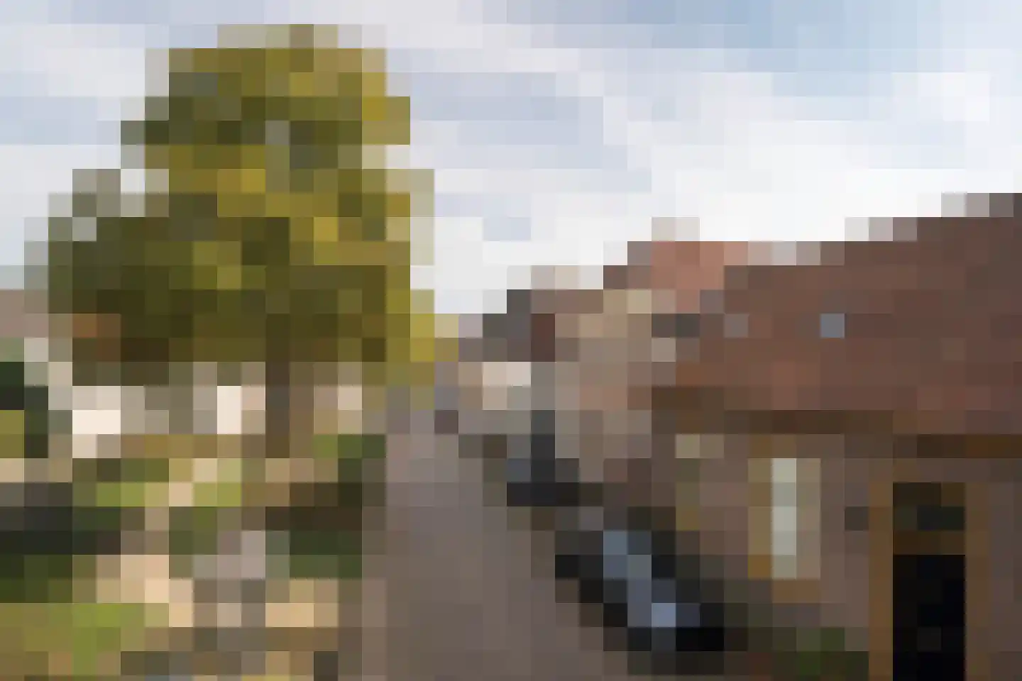 Kosterstraat 33 a Doesburg thumbnail 49