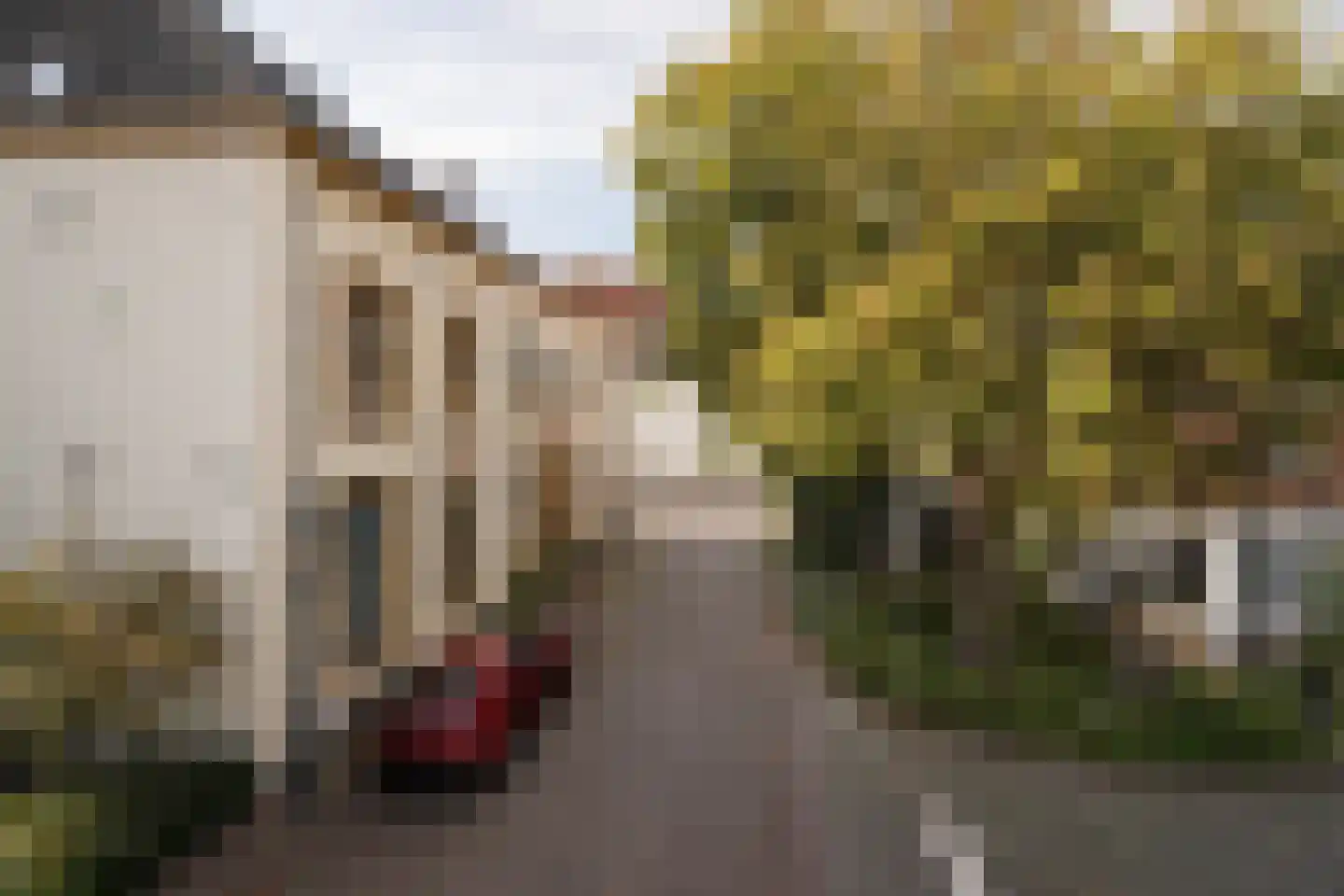Kosterstraat 33 a Doesburg thumbnail 50