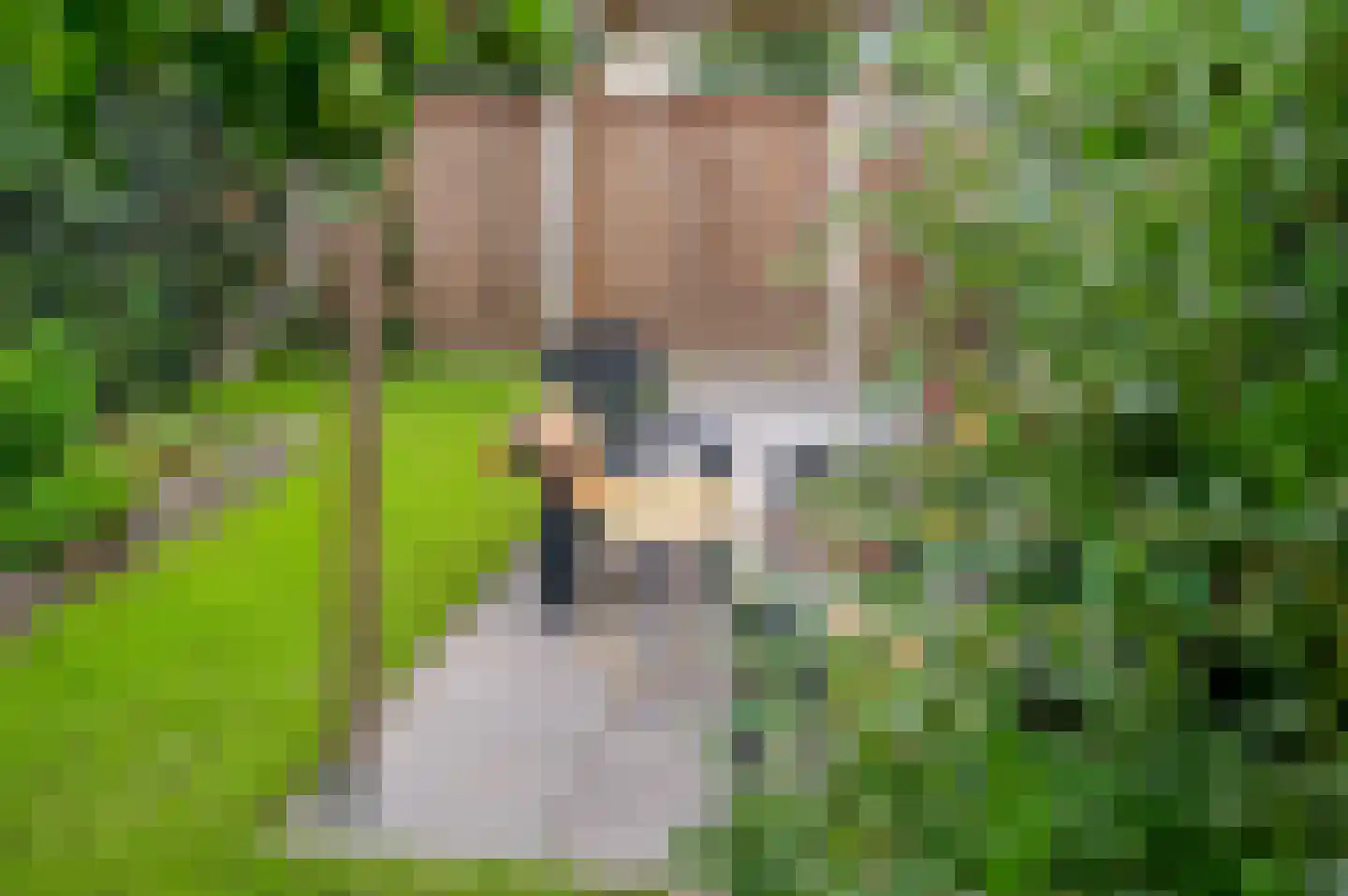 Kosterstraat 65 Deventer thumbnail 27
