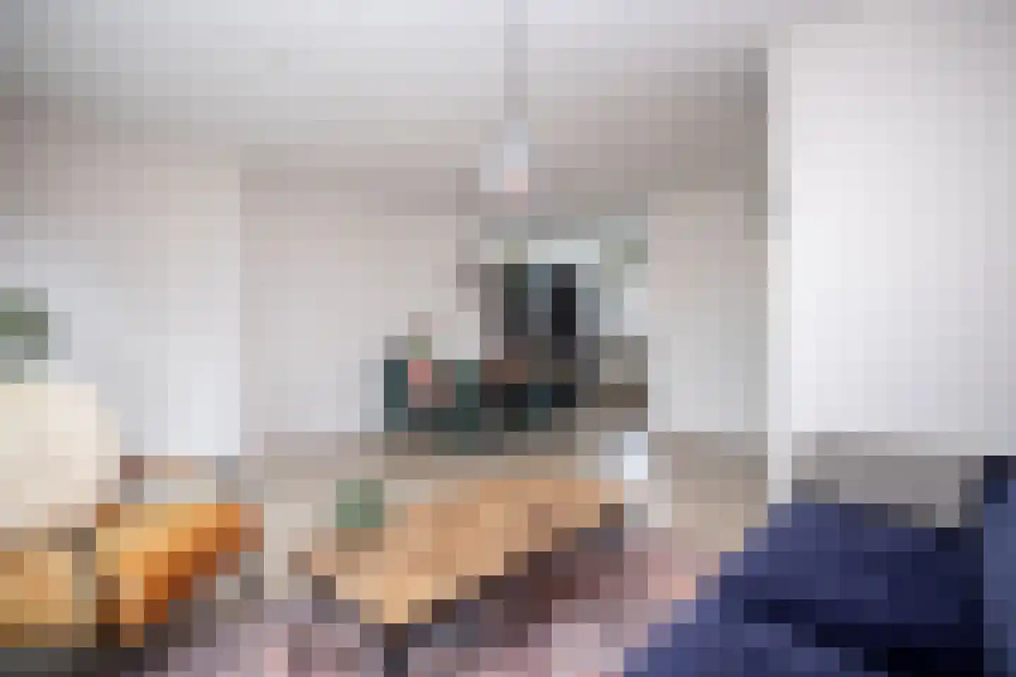 Kosterstuin 154 Zwaag thumbnail 10