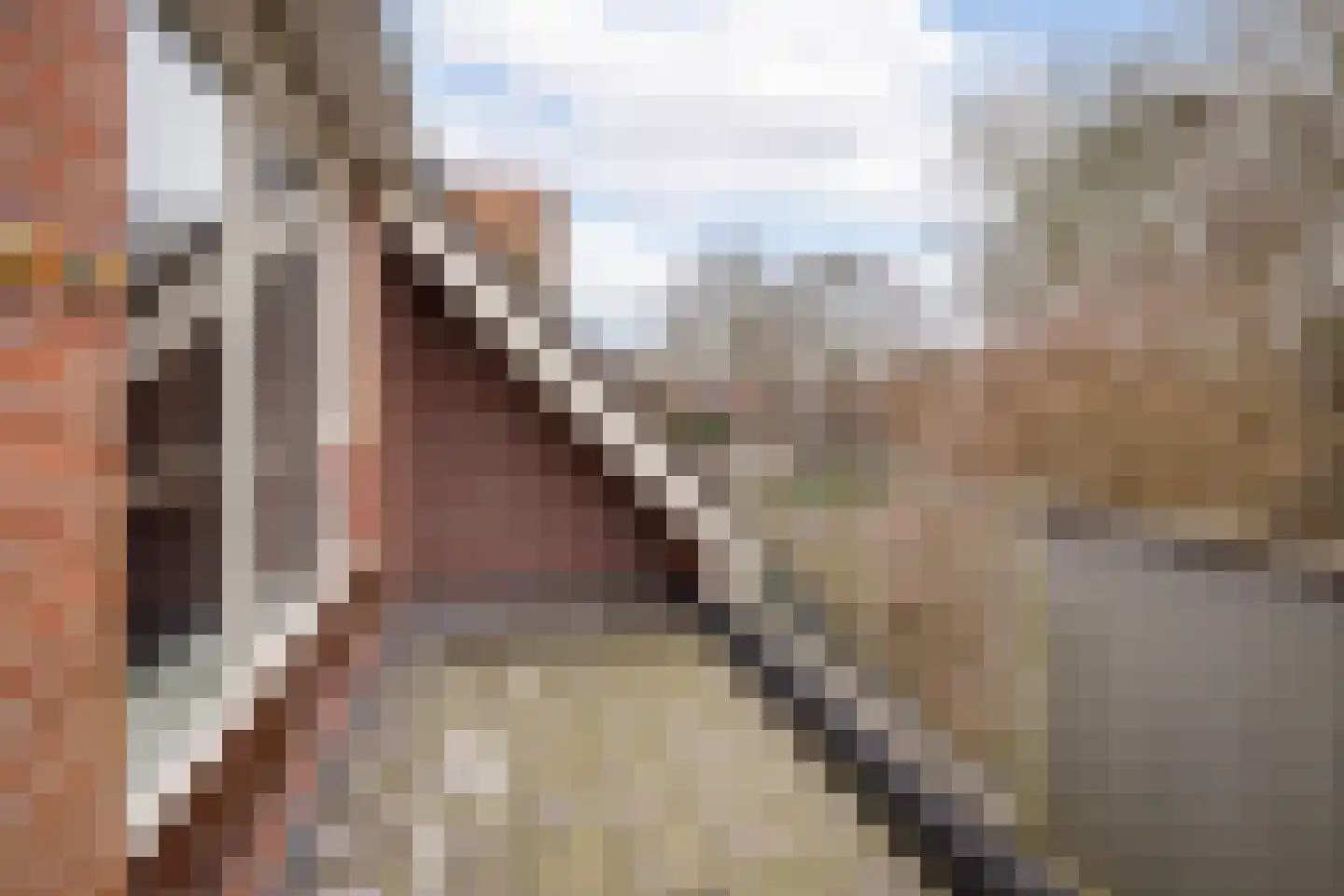 Kosterstuin 154 Zwaag thumbnail 16