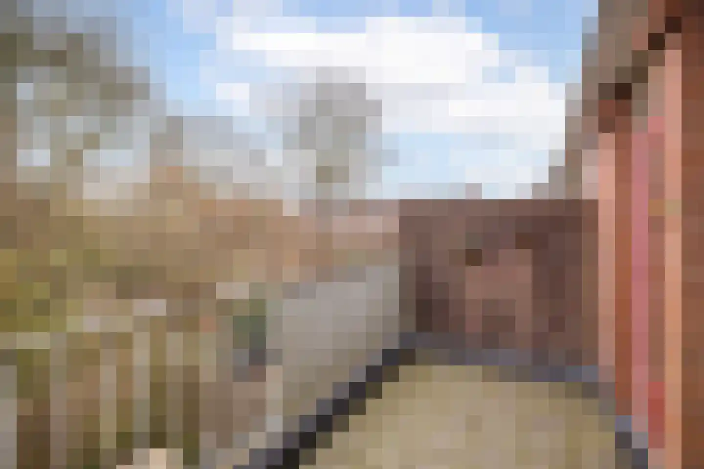 Kosterstuin 154 Zwaag thumbnail 17