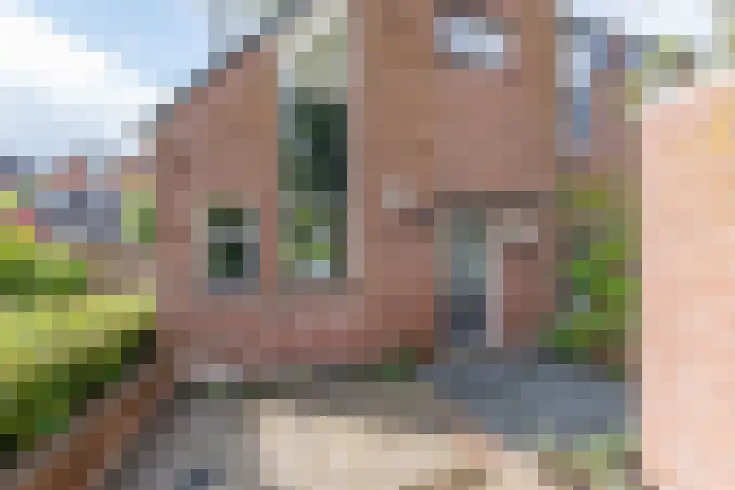 Kosterstuin 168 Zwaag thumbnail 39