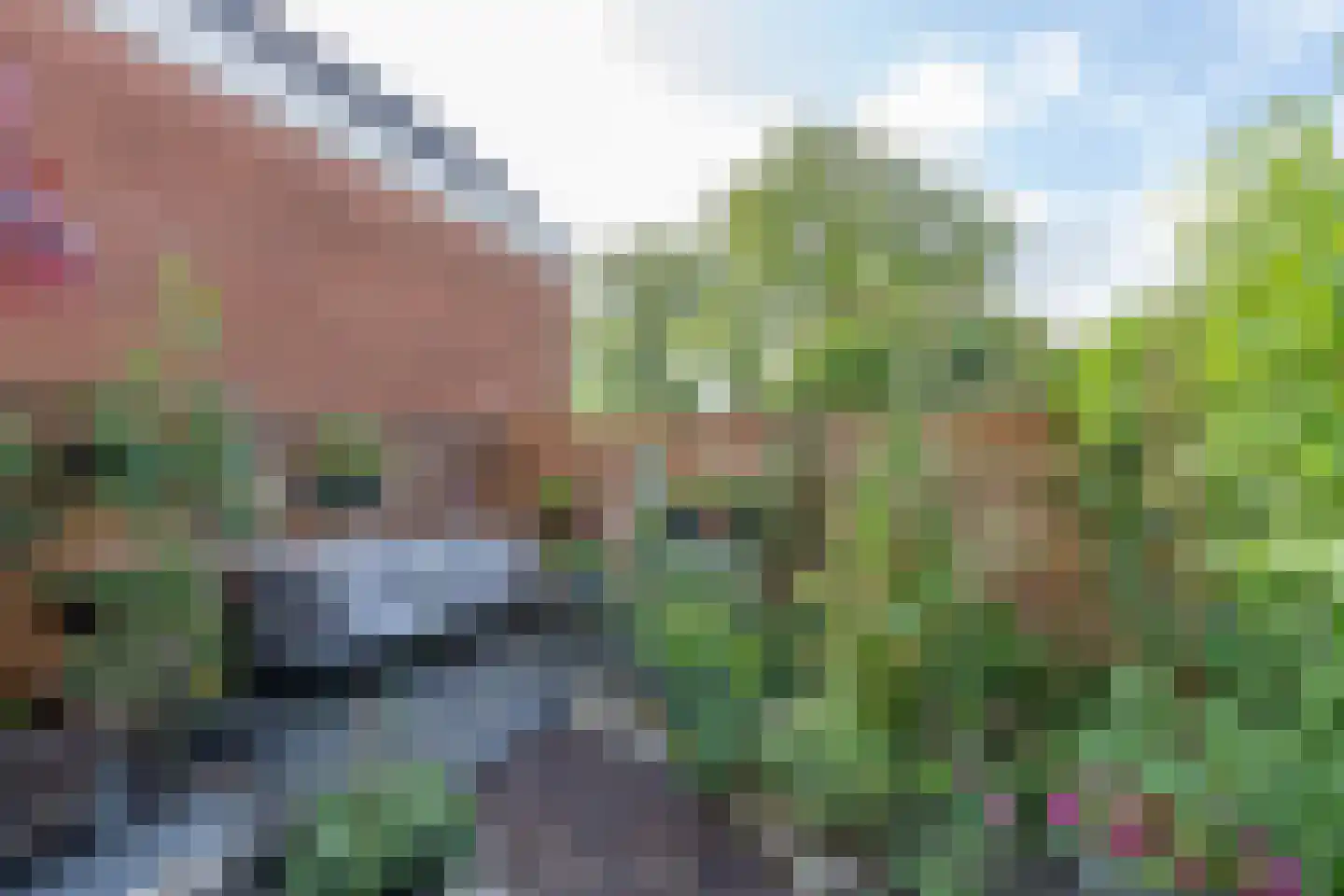 Kosterstuin 168 Zwaag thumbnail 6