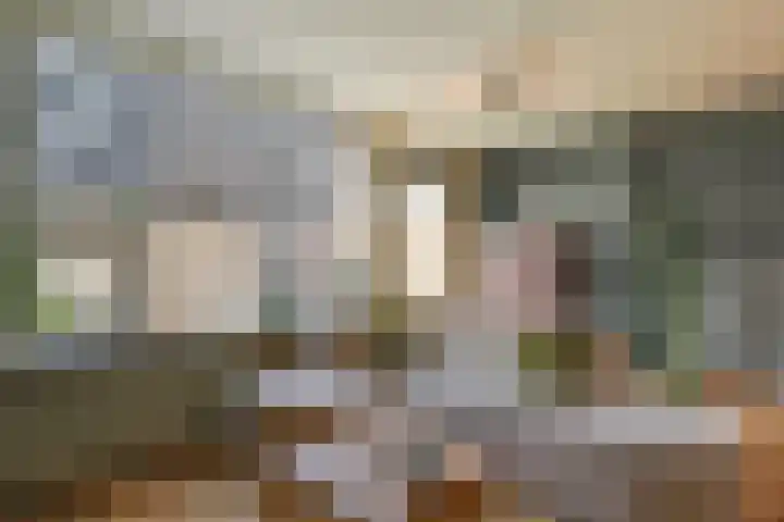 Kosterstuin 91 Zwaag thumbnail 13