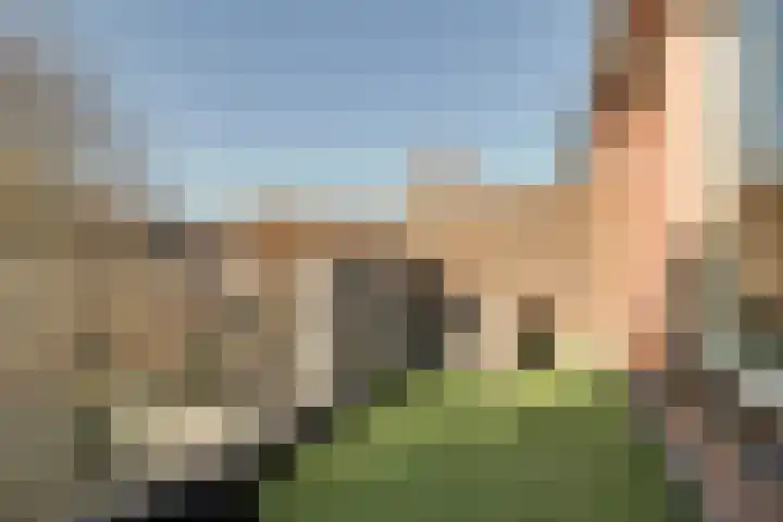 Kosterstuin 91 Zwaag thumbnail 14