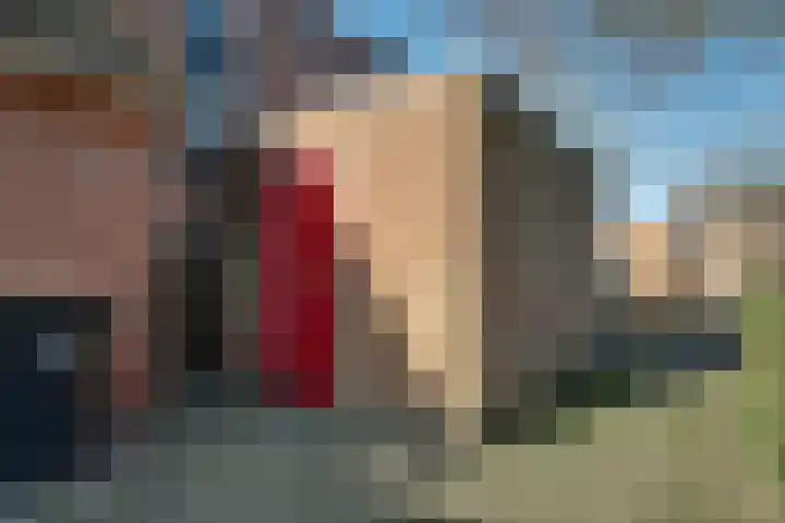 Kosterstuin 91 Zwaag thumbnail 42