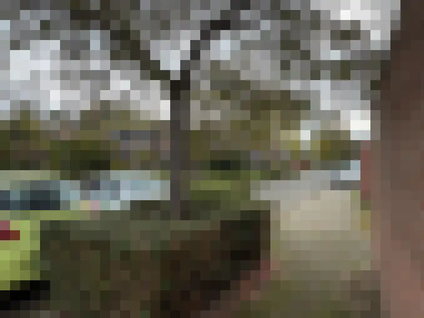 Kosterstuin 92 Zwaag thumbnail 24