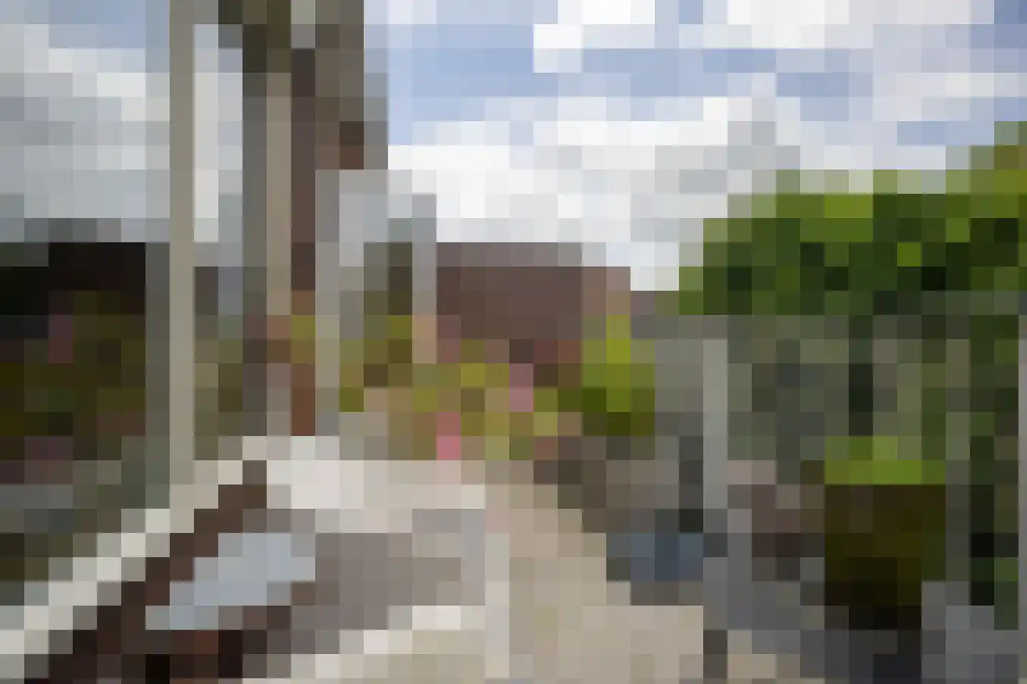 Kosterstuin 94 Zwaag thumbnail 22