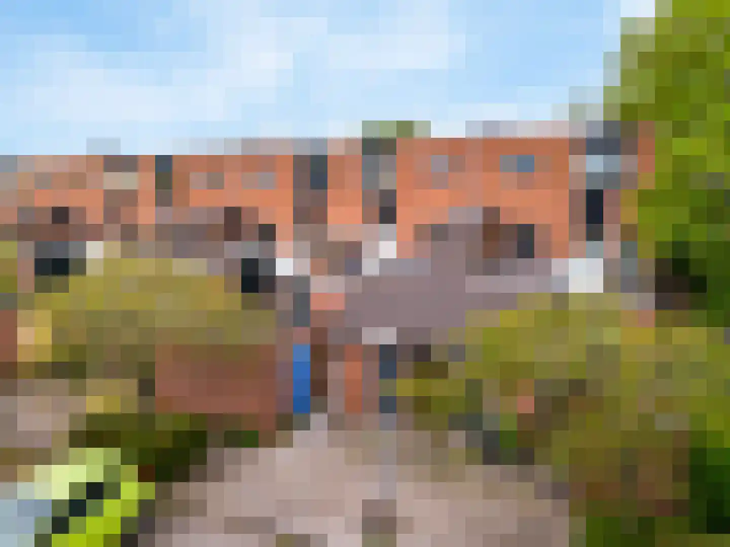 Kosterstuin 96 Zwaag thumbnail 20