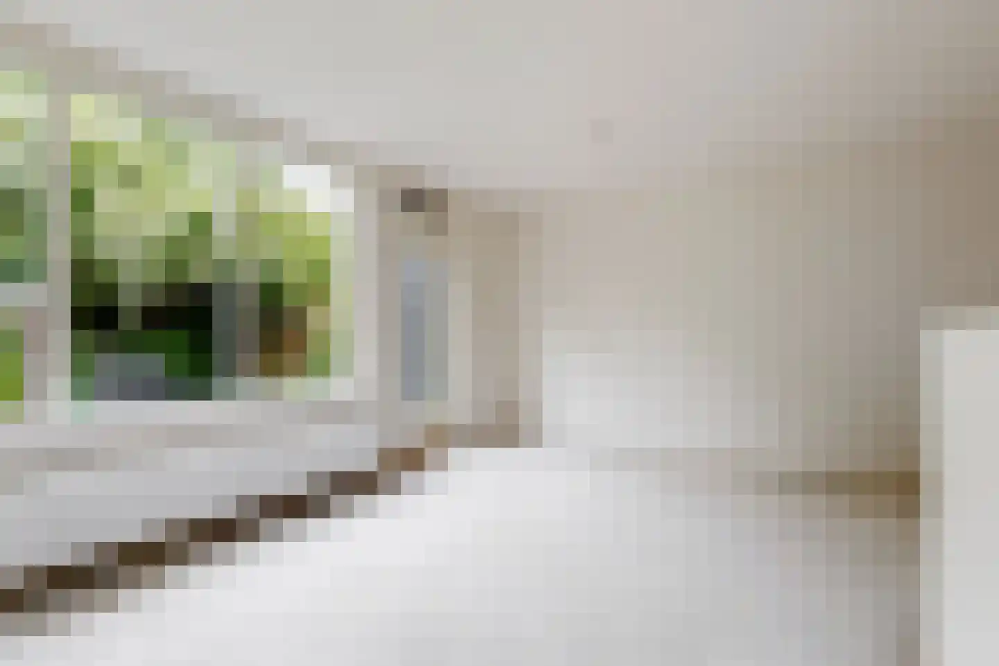 Kosterstuin 96 Zwaag thumbnail 5