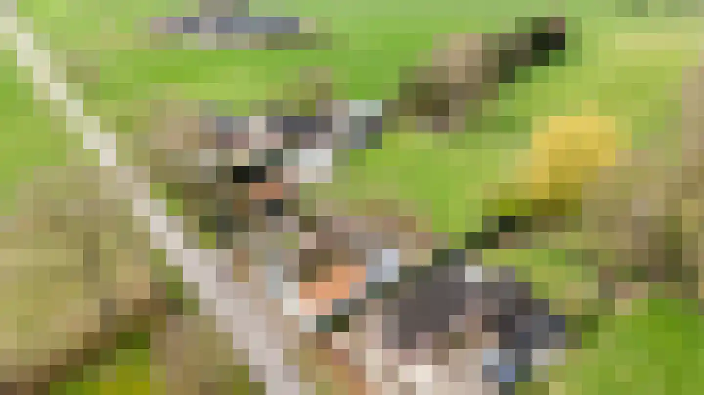 Kostersweg 27 Loenen thumbnail 10
