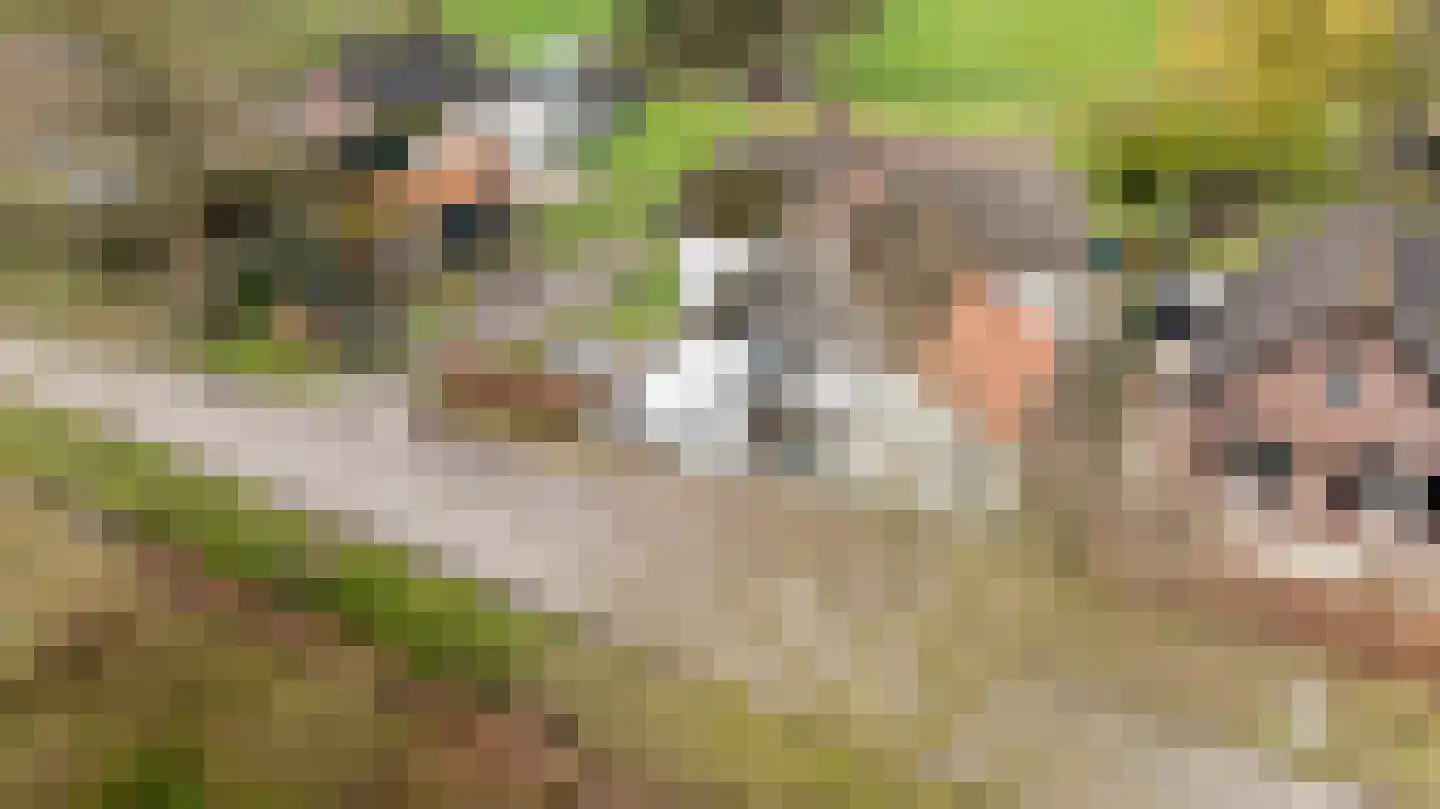 Kostersweg 27 Loenen thumbnail 12