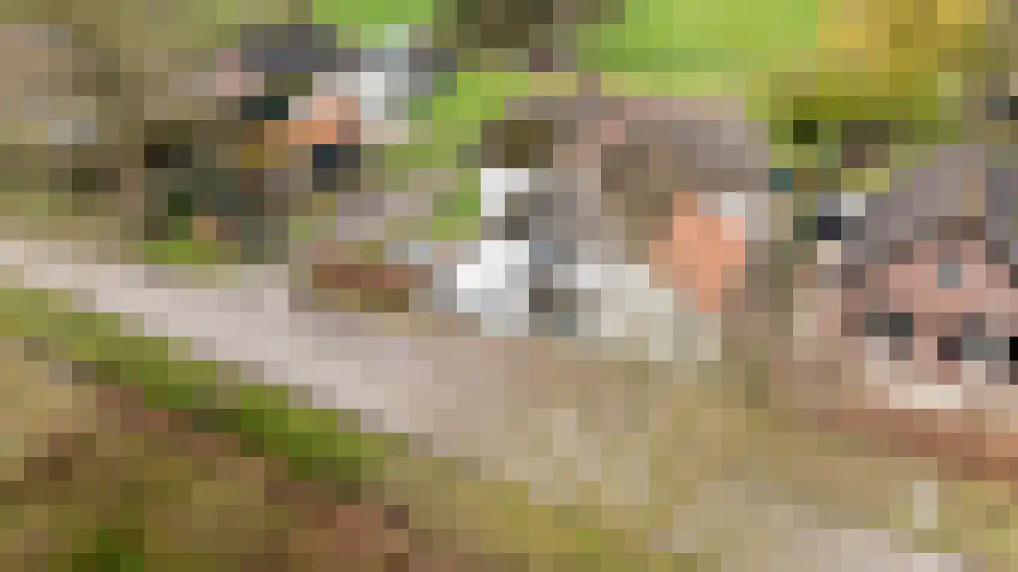 Kostersweg 27 Loenen thumbnail 12
