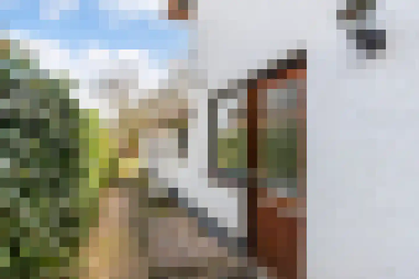 Kostersweg 27 Loenen thumbnail 32