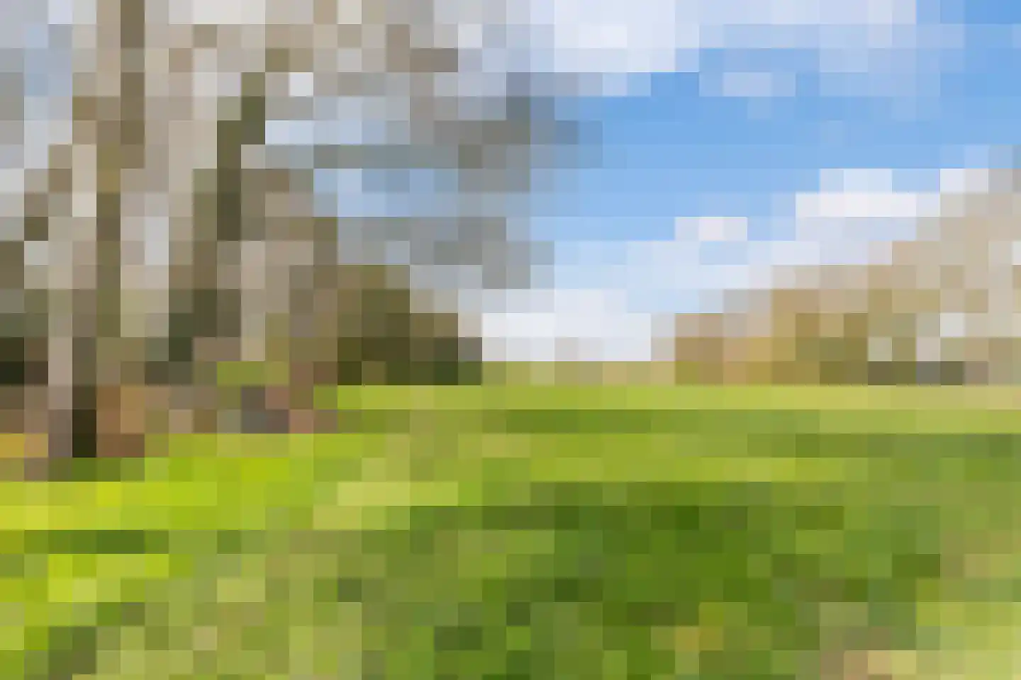 Kostersweg 27 Loenen thumbnail 59