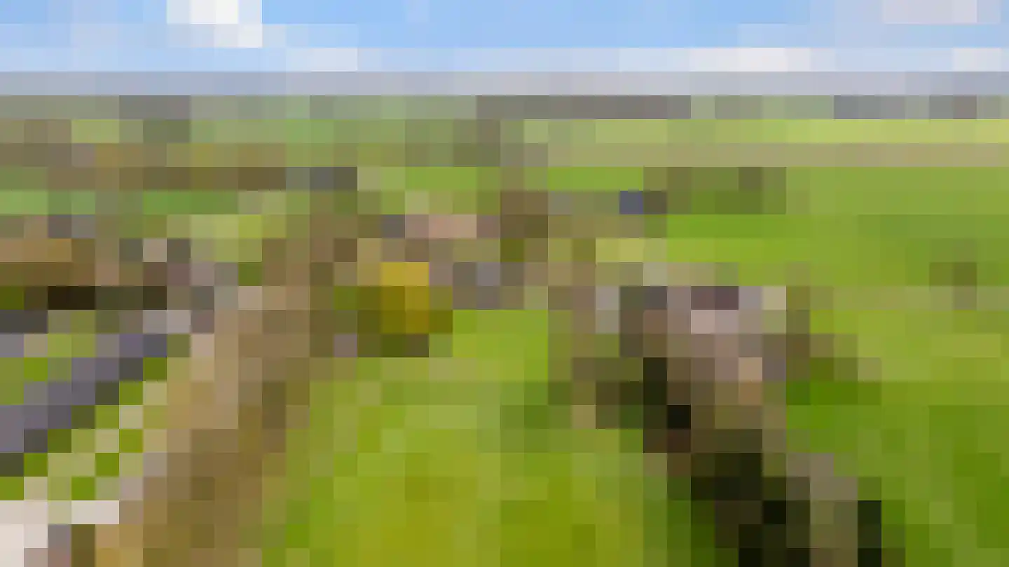 Kostersweg 27 Loenen thumbnail 7