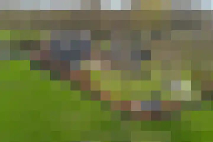 Kostersweg 5 Wolphaartsdijk thumbnail 31