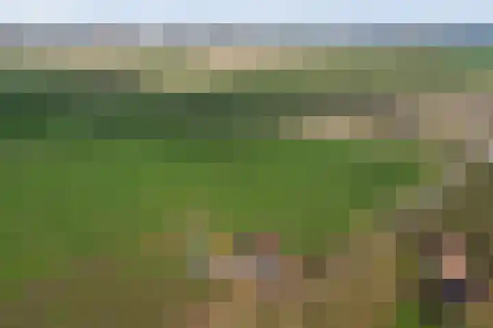 Kostersweg 5 Wolphaartsdijk thumbnail 32