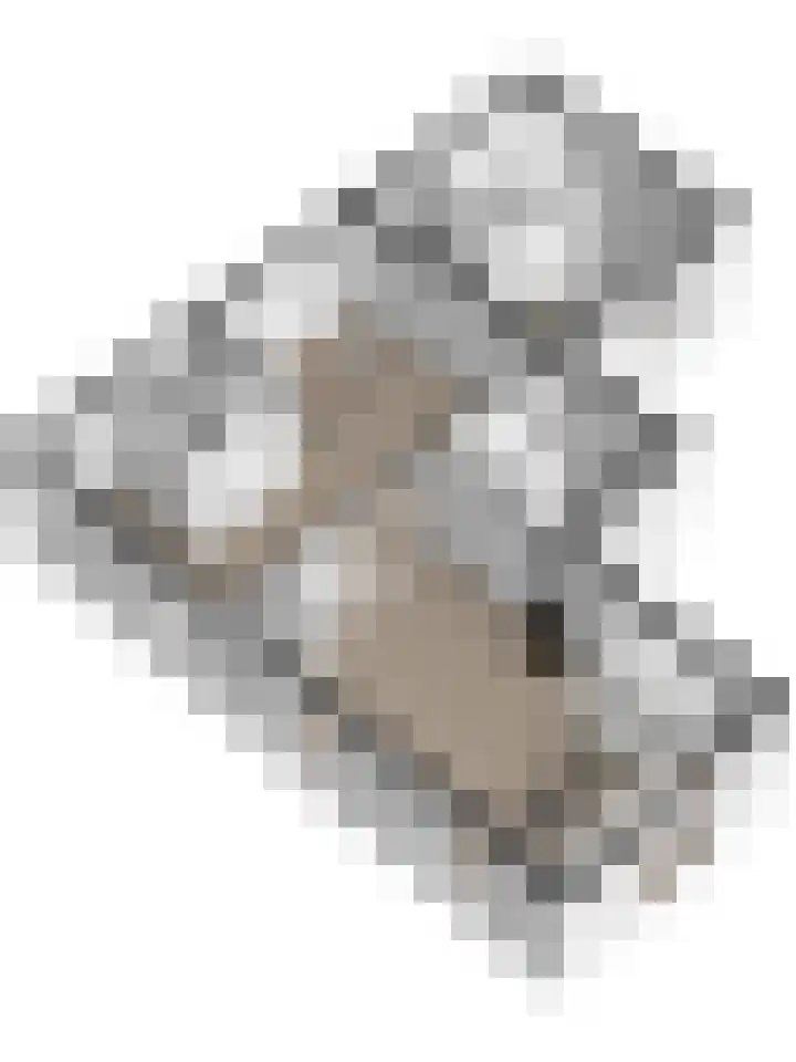 Kostersweg 5 Wolphaartsdijk thumbnail 38
