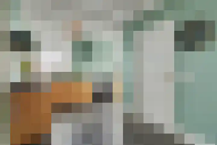 Kostersweg 5 Wolphaartsdijk thumbnail 7