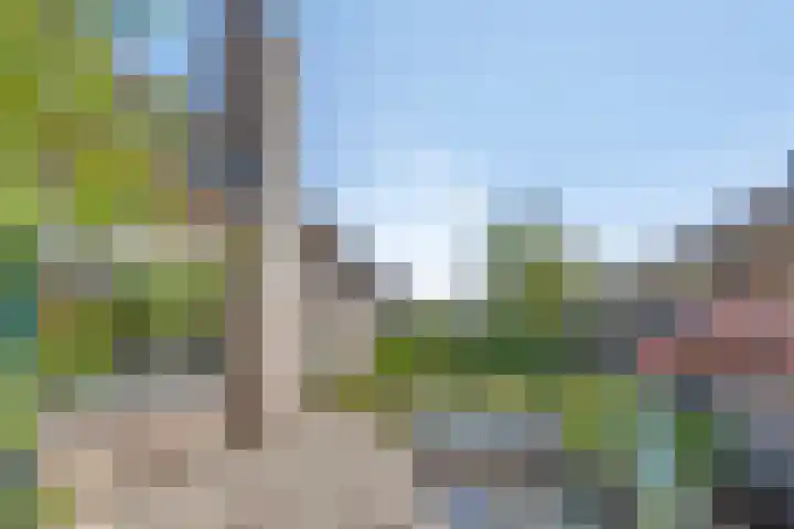 Köstersweide 36 Aalten thumbnail 31