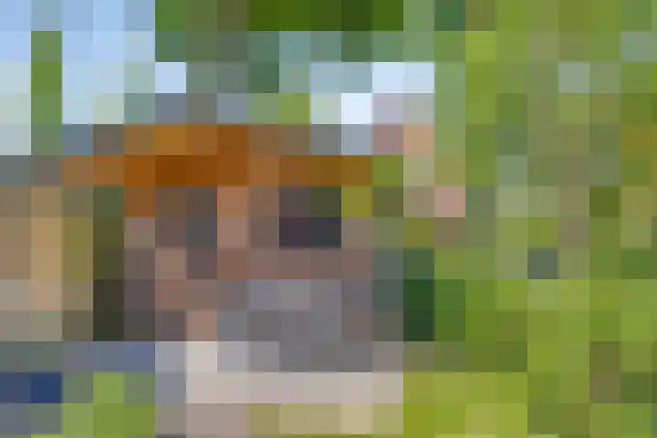 Köstersweide 36 Aalten thumbnail 33