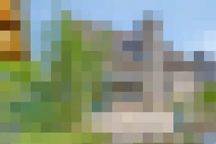 Köstersweide 36 Aalten thumbnail 34