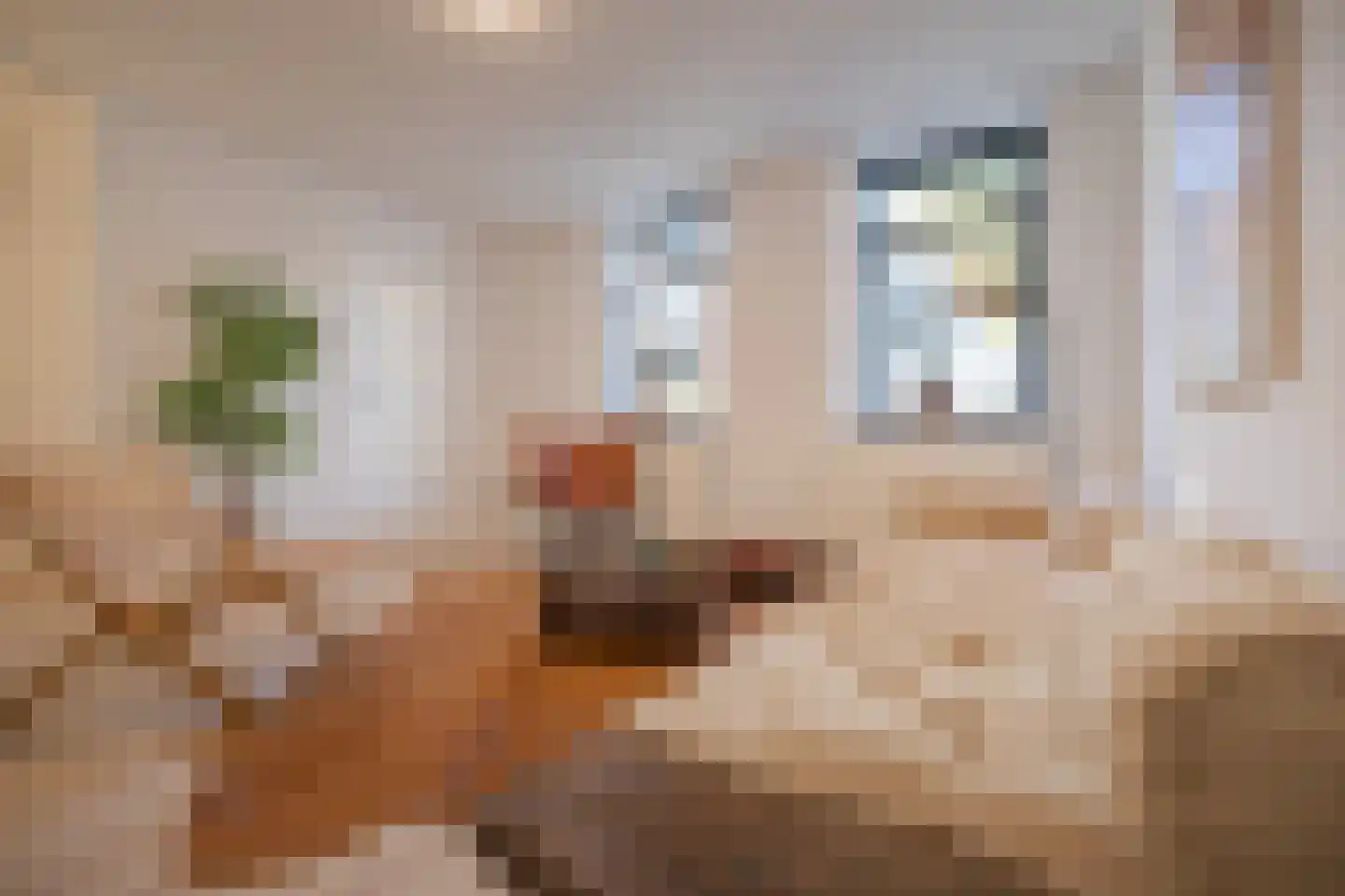 Kostschoollaan 3 Zevenaar thumbnail 12