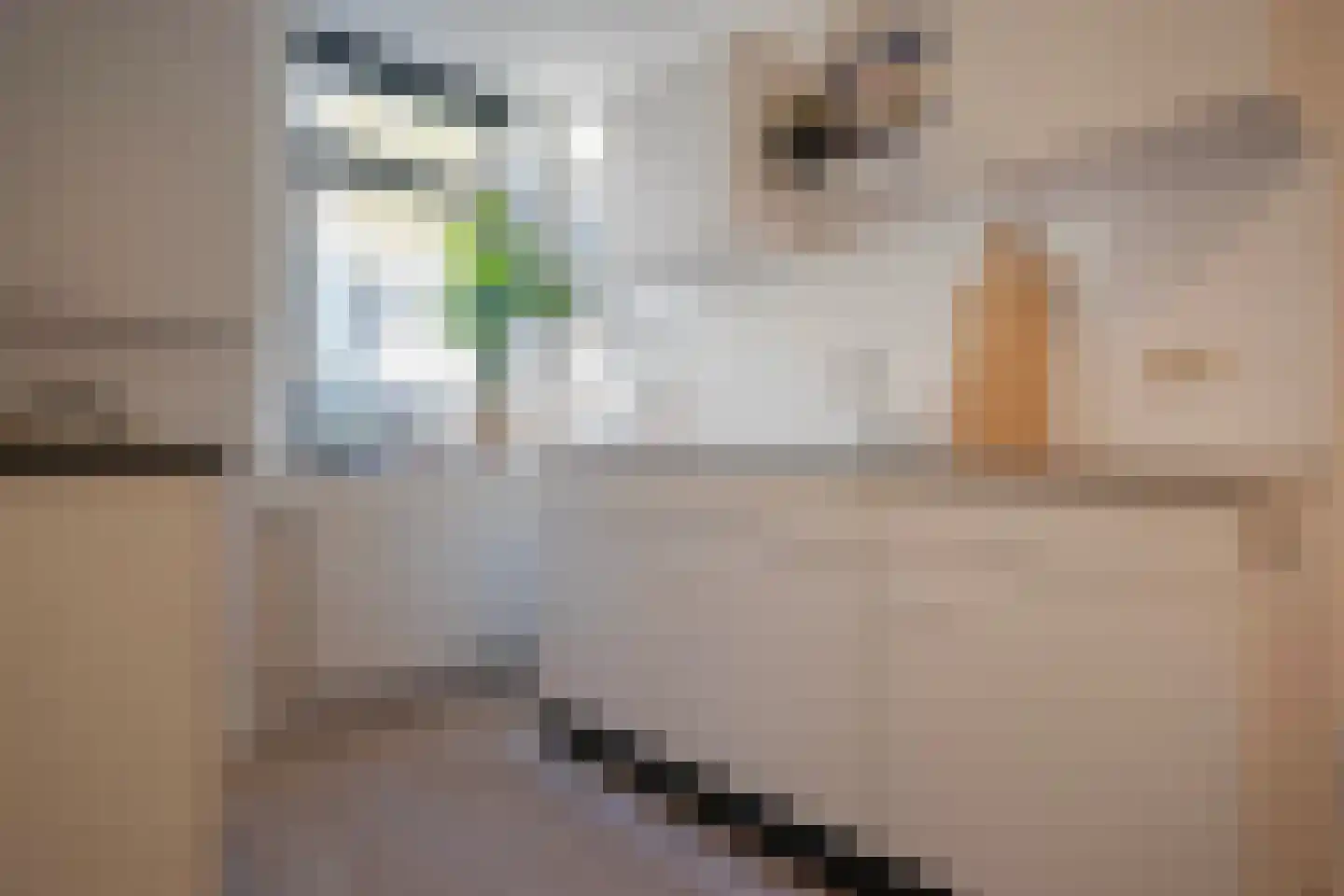 Kostschoollaan 3 Zevenaar thumbnail 16