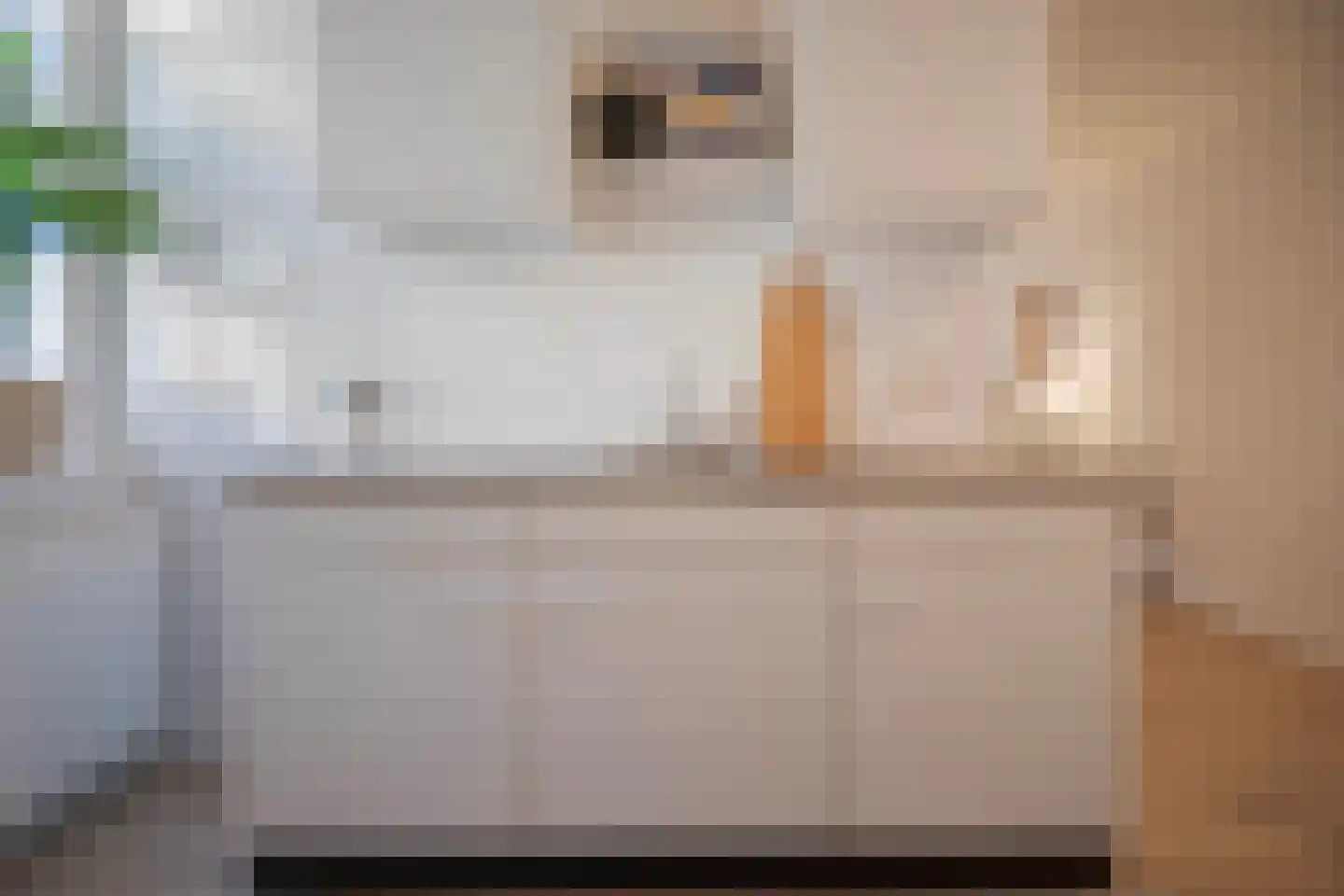 Kostschoollaan 3 Zevenaar thumbnail 17
