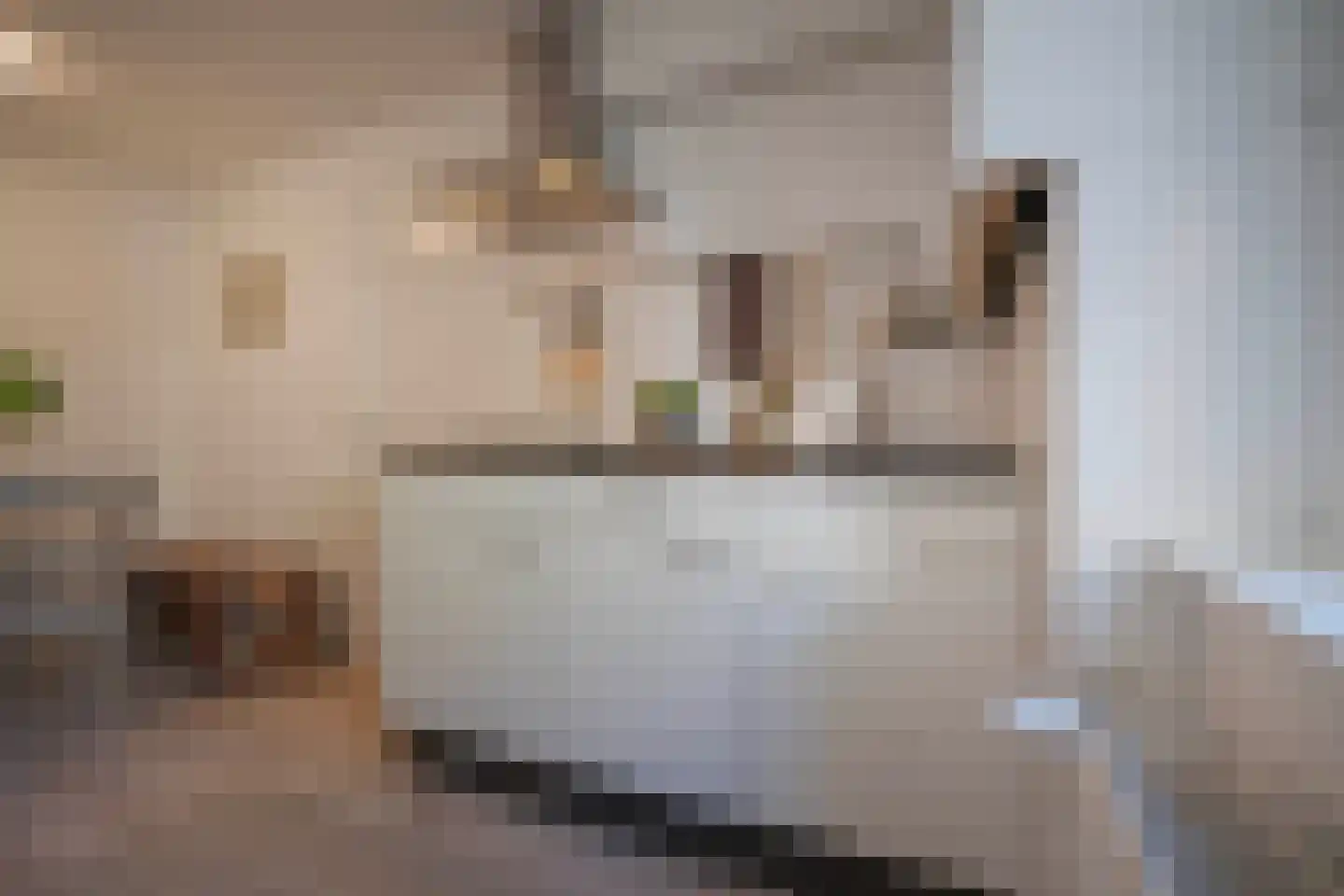 Kostschoollaan 3 Zevenaar thumbnail 19