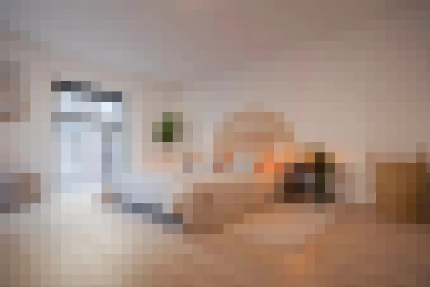 Kostschoollaan 3 Zevenaar thumbnail 27