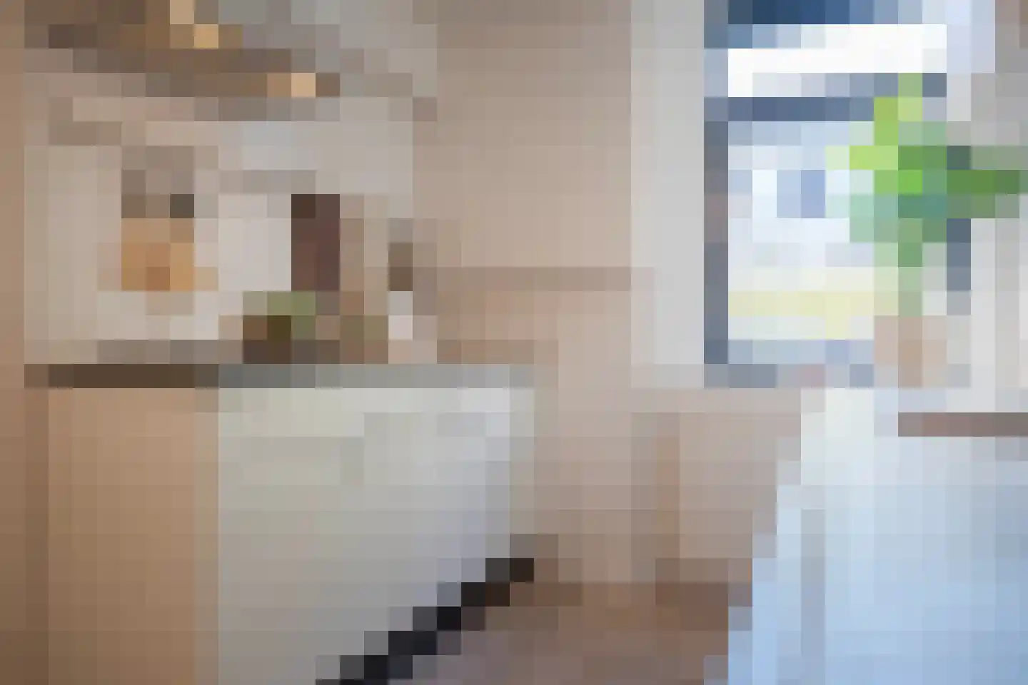 Kostschoollaan 3 Zevenaar thumbnail 4