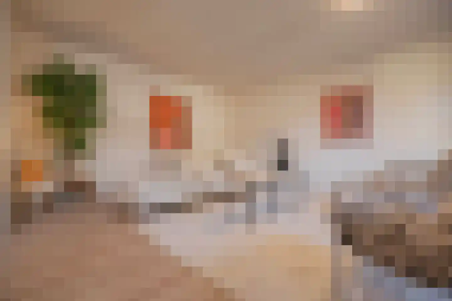 Kostschoollaan 5 A Zevenaar thumbnail 10
