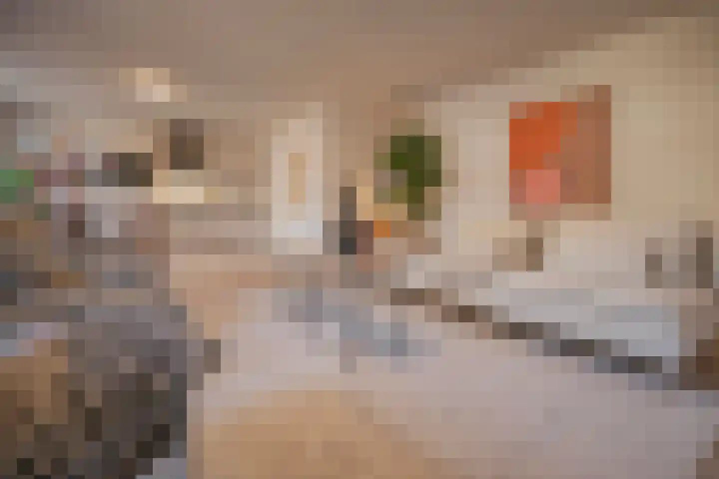 Kostschoollaan 5 A Zevenaar thumbnail 11