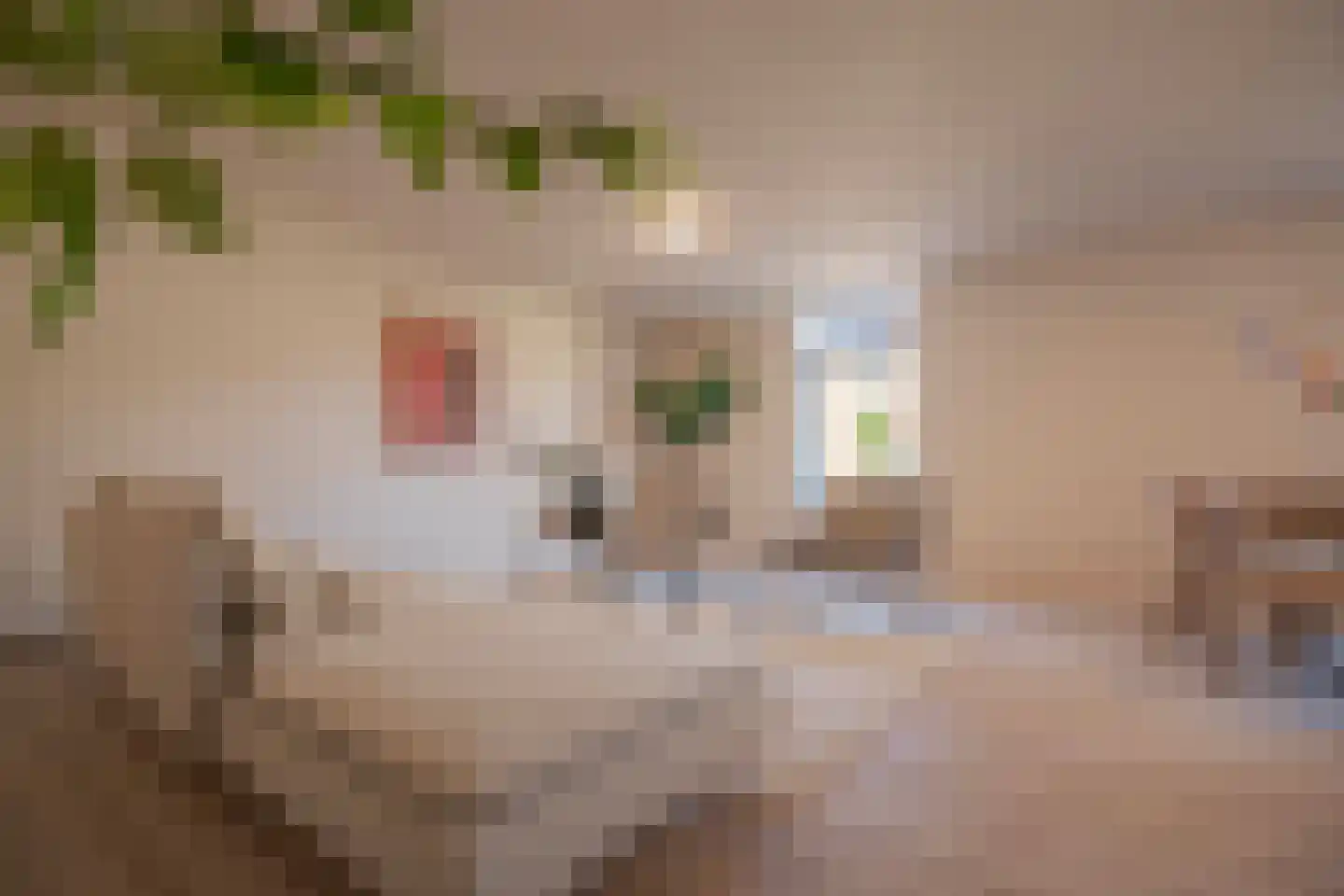 Kostschoollaan 5 A Zevenaar thumbnail 9