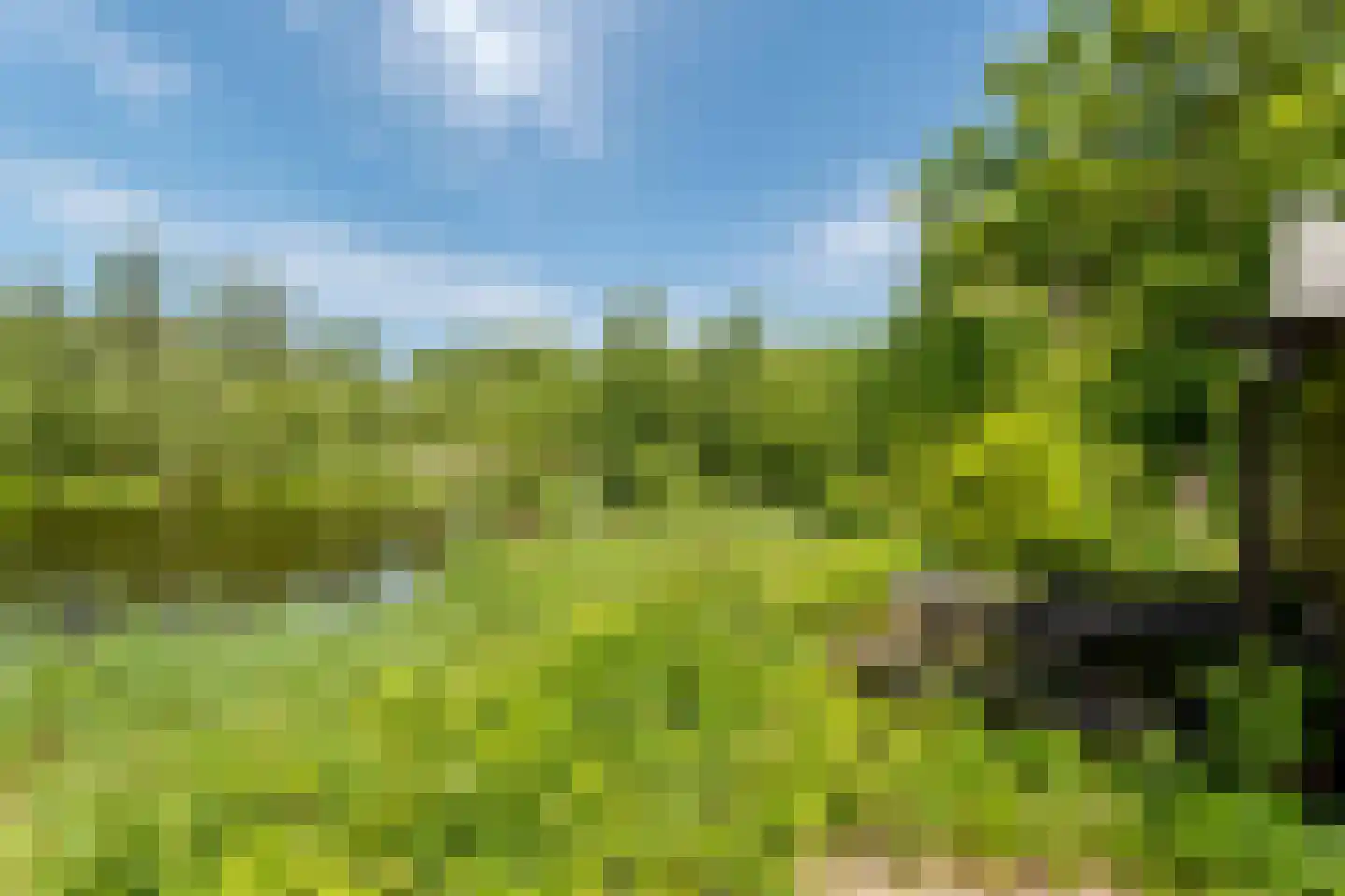 Kostverloren 1002 Heerenveen thumbnail 20